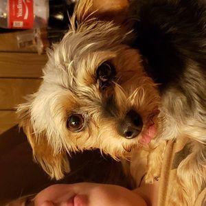 Meet your Posher, Crystal